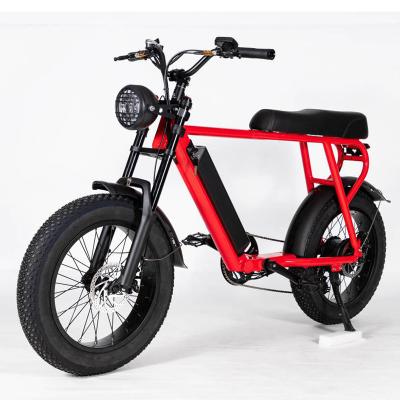 China Manufacturer Competitive Price Full Suspension Professional Mountain Aluminum Alloy 20-FGX Electric Bike for sale