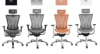 China Mesh Back Ergonomic Executive Chair Light Aluminum Frame With 3D Armrest for sale