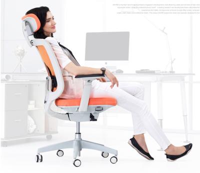 Chine Chaises de jeu d'ordinateur pour des adultes, chaise confortable de bureau exécutif à vendre