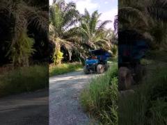 14HP Palm Oil Tractor 4 Wheel Drive Tractor For Oil Palm Garden