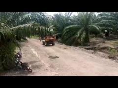 Multi Functional Palm Oil Harvesting Machine 2400rpm With PTO