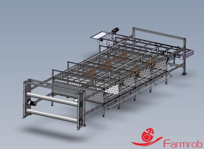 Cina Sistema di gabbia a batteria per pollame pratico / automatico 2 livelli Cage-free-H per animali in vendita