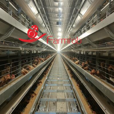 China Sistema de gaiolas de frango de camada H totalmente automático resistente à corrosão à venda