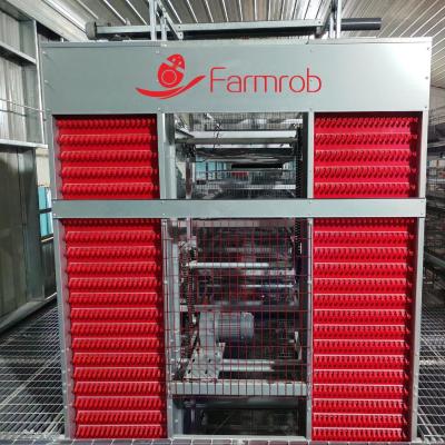 China Automatic Poultry / Chicken Egg Collection System For Laying Hen for sale