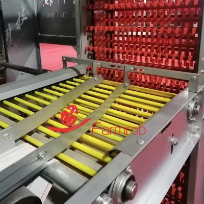 Cina Sistema automatico di raccolta di pollame/uova di gallina per galline ovaiole in vendita