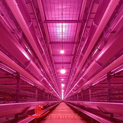 China Energy Efficient Poultry Lighting System 3 Tiers - 8 Tiers Baby Chick Rearing Equipment for sale