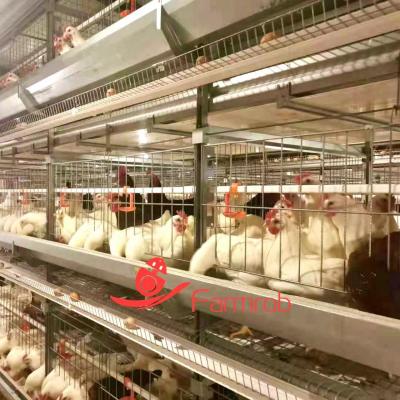 China Sistema de jaula de baterías de aves de corral de aleación Mg-Al-Zn de 3 niveles Equipo de cría de pollos de gran distancia en venta