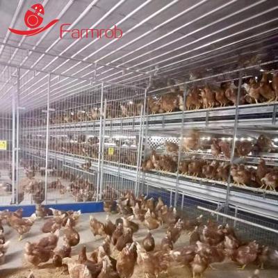 China 3 niveles de aves de corral sistema de jaula de baterías jaula libre de huevos jaula-libre-X mejorar la salud y el bienestar en venta