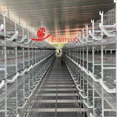 China 1800×600×430mm H Type Poultry Battery Cage System Low Egg Breakage Rate For Layer Farming for sale