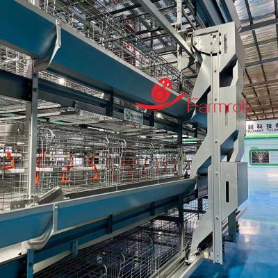 China Low Malfunction Rate Poultry Feeding System Exact Control For Pullet Chicken Farming for sale