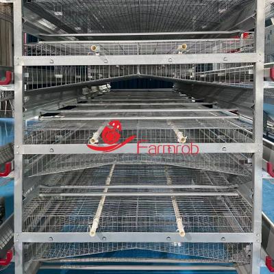 China Automatic 3 Tier - 6 Tiers Quail Cage System Poultry Quail Farming Cage for sale