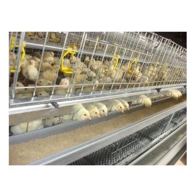 China Automatic Chicken Cage Poultry Cage Chicken Layer Poultry Cages For Layer Chickens for sale