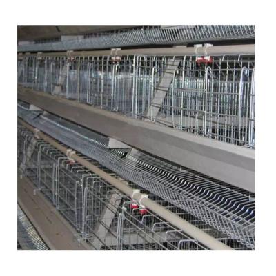 China Automatic Chicken Cages Layer Cage Chicken Polutry Layer Farming Chicken Cages for sale