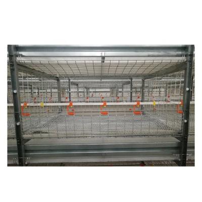 China Automatic Chicken Farm Cage Chicken Cage Cages Broiler Chicken Cage System for sale