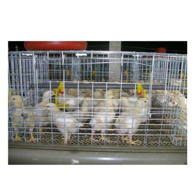 China Automatic Cage Feeder Chicken Layers Cage 96 Chicken Chicken Breeding Cage for sale