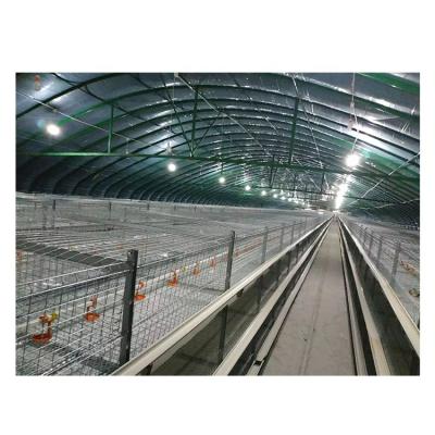 China Automatic Chicken Cages For Sale Chickens_Cages Chicken Cage for sale