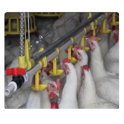 China Automatic Chicken Nipple Drinker and Drinkers Nipple Feeders Poultry Drinking Line for sale