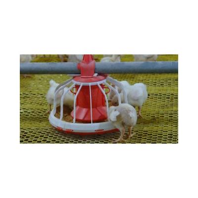 China Good Price Automatic Feeding Line Breeder Poultry Feeding System for sale