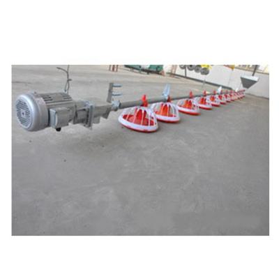 China Small Automatic Poultry Poultry Feed Chain Feeding Line Automatic Feeders For Poultry Chickens for sale