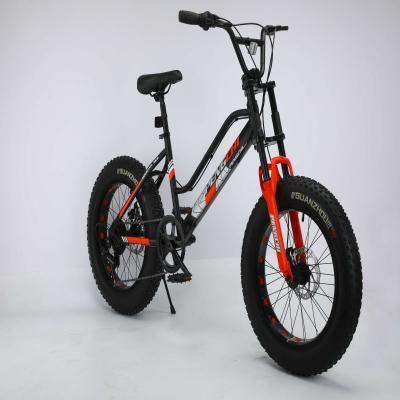 China Hot Selling Mountain Bike 4.0 Fat Tire Mountain Bike Moutain Style Fat Tire Snow Bike Other Bike for sale