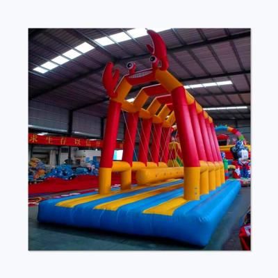 China New Design Adult Customer Customized Size 10X5X6m Inflatable Swing Inflatable Game For Kids Or Adults for sale