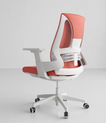 China Adjustable (height) Wholesale Full Mesh Mid Back Ergonomic Modern Furniture Chair for sale