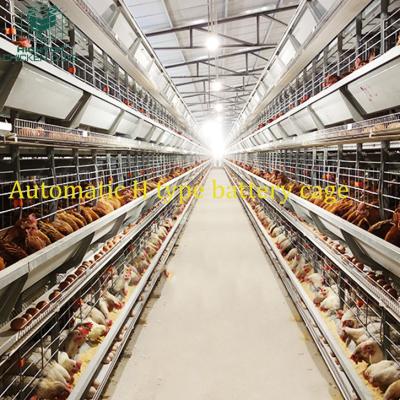 China Layer Chicken Farming H Type HIGHTOP 35000 Chicken Layer Battery Poultry Cages In Kerala Senegal for sale