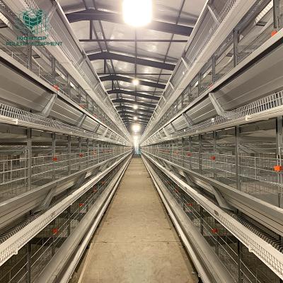 China Layer Chicken Farming 4 Tier Chicken Layer Battery Cage For Sierra Leone India 2000 10000 Birds Layers for sale