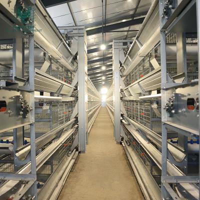 China Layer Chicken Farming Good Price Hightop Type H Layer Battery Cage System In Ghana Nigeria Dubai for sale