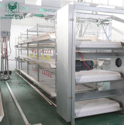 China Farms Poultry Farm Battery Cages H Type Automated System For Poultry Chicken Broiler for sale