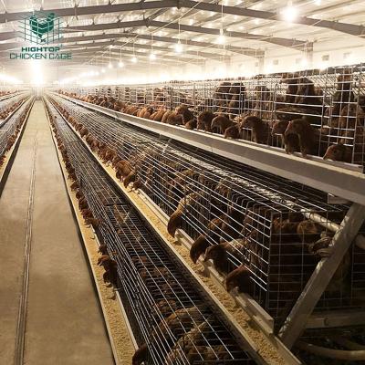 China Poultry Farms Lay Chicks Pullet Cage Hightop One Type Automatic Poultry Farm Baby Chick Brooder Cage Day Old Chicken Raising Cage for sale