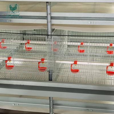 China Poultry Farms Laying Chicks Pullet Cage Hightop Pullets Rearing Cage Equipment For Poultry Farm Chicken House Shed for sale