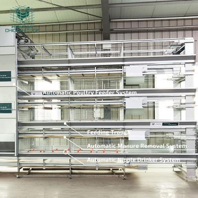 China Poultry Farms Layer Automatic Baby Chicken H Type Pullet Cage Poultry Farm Equipment Chicks Pullet Cage For Sale for sale