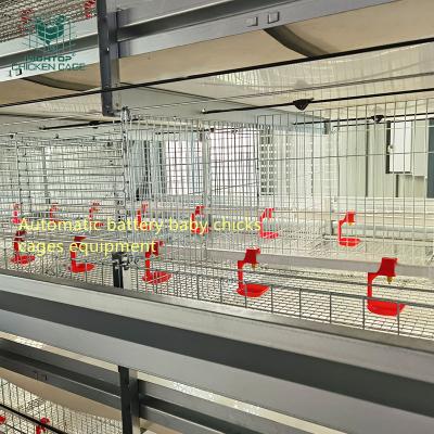 China Poultry Farms Lay Chicks Pullet Cage H Type Hightop Automated Pullet Brood Cage Systems For Chicken Farm for sale