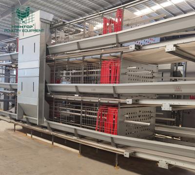 China Chicken Farming Manufacturer HIGHTOP Automatic Battery Cages Poultry Chicken Breeder Cages for sale