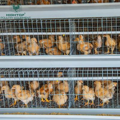 China Full Automatic Layer Quail Layer Farms Stainless Steel H Type Egg Cages System For Sale Philippines for sale