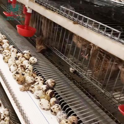 China High Quality Commercial Full Automatic Farms Quail Laying System And Battery Cage Equipment for sale