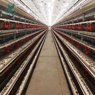 China Commercial 6 Tiers H Type Fully Automatic Battery Quail Layer Egg Cage Farms With Feeders for sale