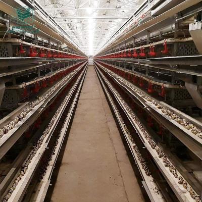 China Farms Factory Price Automatic Egg Gathering Layer Quail Cage For Poultry Farm Equipment for sale