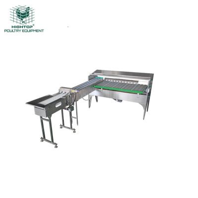 China Layer Farm Hot Sale 10,000 Eggs / Hour Grading Machines Stainless Steel Duck Egg Classifying Sorting Sorter for sale