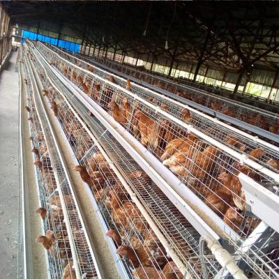 China Layer Chicken Farming Design Poultry Farm Hightop Chicken Enclose A Type Large Capacity Egg Laying Hens Layer Chicken Cage For 1000 5000 10000 Birds for sale