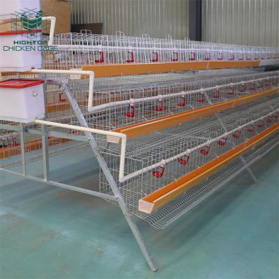 China Layer Chicken Farming Philippines Large Scale Poultry Chicken House Cage Hot Dip Galvanized Metal 1000 5000 Hen Laying Egg Layer Chicken Cages for sale