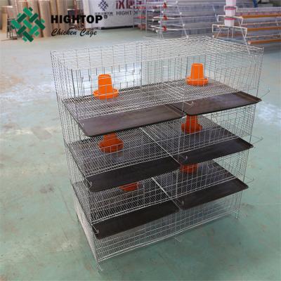 China H Type 10000 Type Chicken Farm Cage A Cage Uganda Chicking Bird Layer Baby Chicks Pullet Chicken Brooder For 1 Day Old Chicks for sale