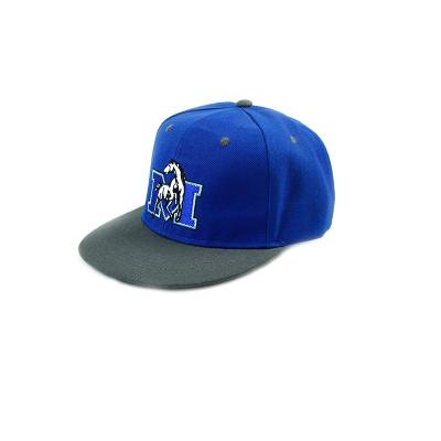 China COMMON Hat Cotton Snapback Hat 6 Panel Classic Sports Hats For Men Custom Embroidery Hats for sale