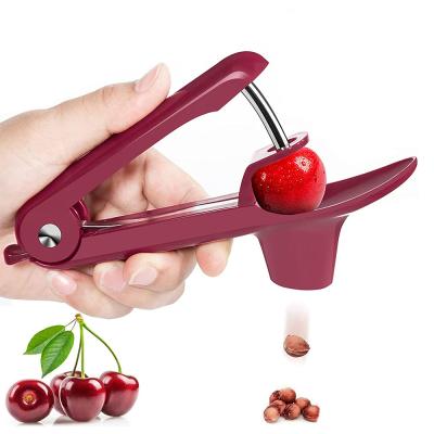 China Fruit Vegetable Tools Type Cherry Pitters with Space-Saving Lock Design for sale