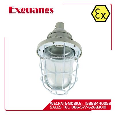 China IIA BAD51 Series Lowest Price Professional Explosion Proof Light for sale