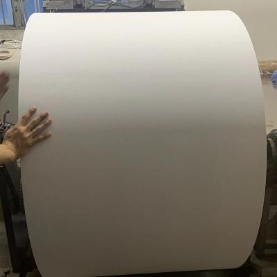 China 100% Image Thermal Paper Dark Elephant Roll 405mm 640mm 880mm Width Thermal Paper Jumbo Roll 65g 70g for sale