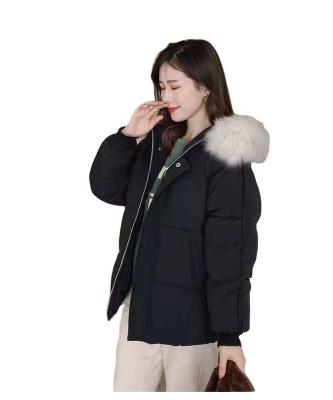 China 2021 Wholesale Anti-wrinkle Ladies Cotton Coat Winter Warm Padded Padded Coat With Hood Style For Women for sale