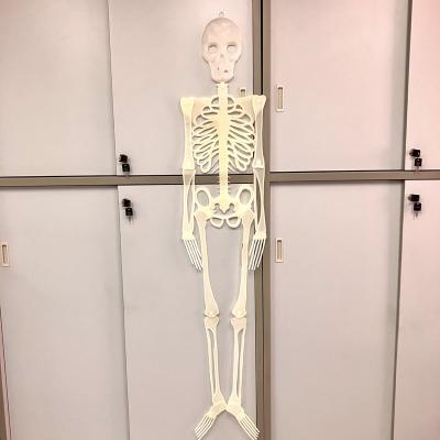 China Halloween Hanging Decoration 5FT PP Glow in the Dark Scary Skeleton Hanging Decoration for sale