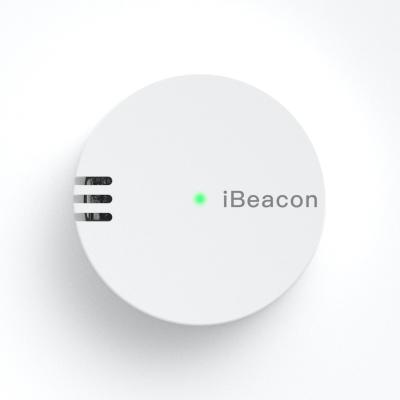 China Navigation High Accuracy Temperature&Humidity Sensor Beacon Bluetooth 5.1 Ibeacon Indoor Beacon for sale